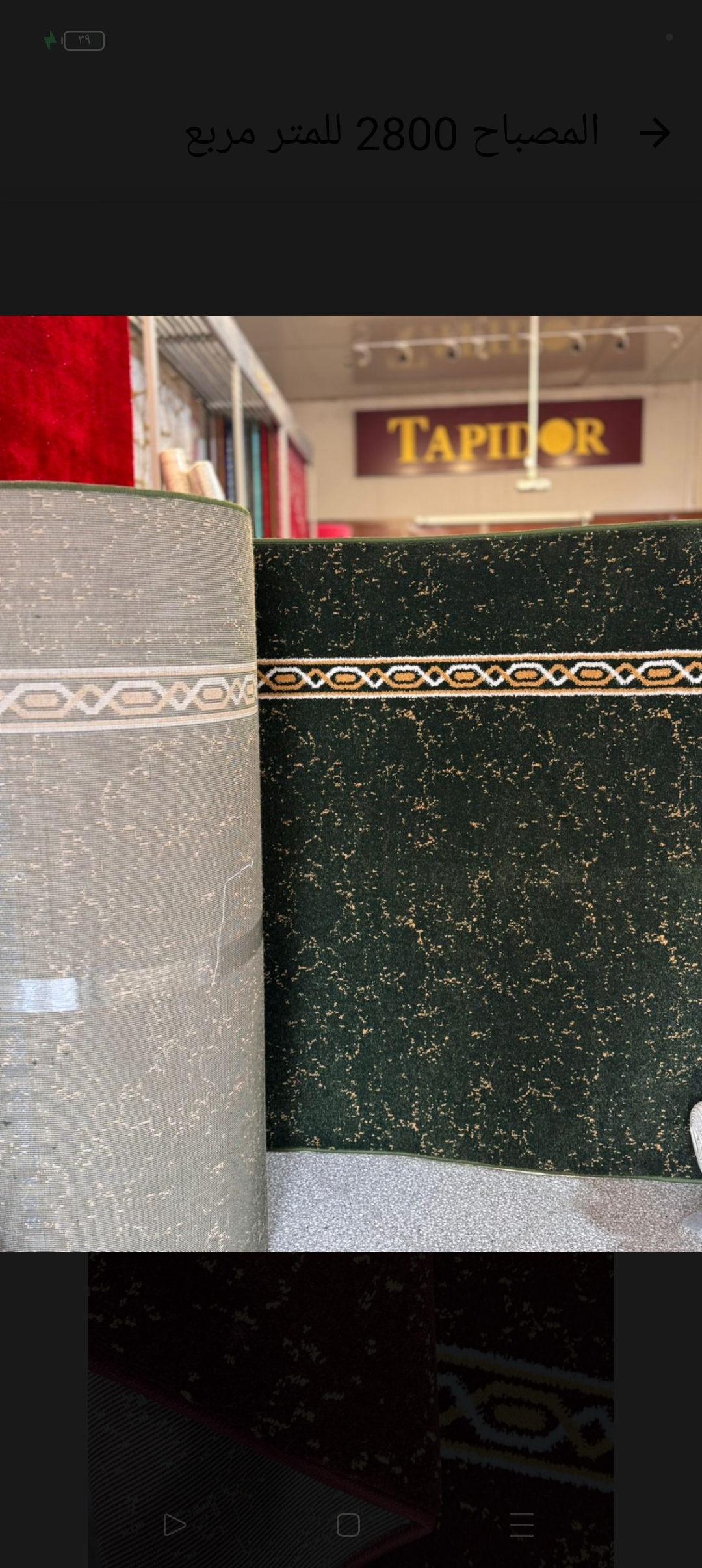 سجاد طابيدور المصباح 